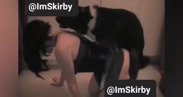 Skirby Dog Video Porn Is Hot Viral